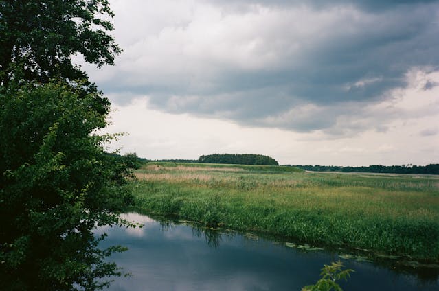 Wetland Assessments